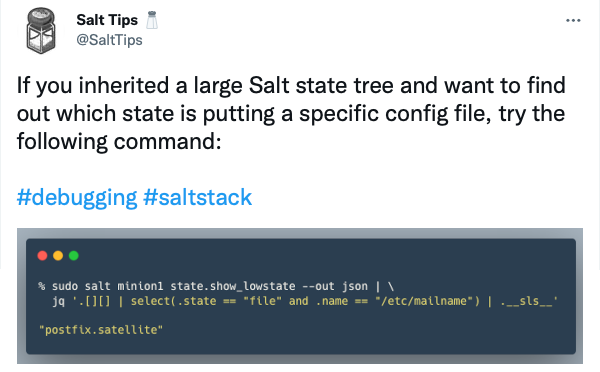 SaltTips tweet